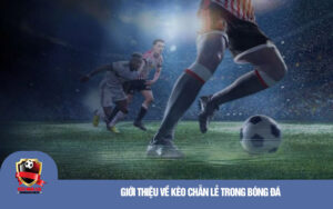 Giới thiệu về kèo chẵn lẻ trong bóng đá