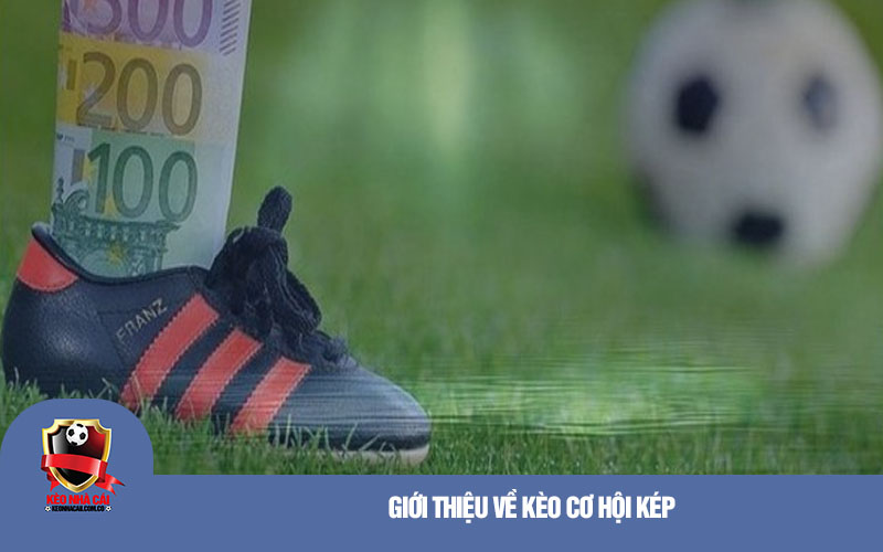 Giới thiệu về kèo cơ hội kép