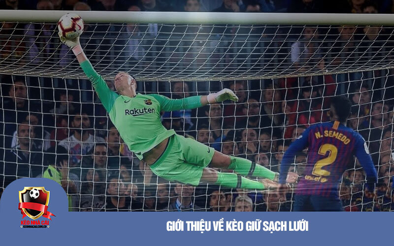 Giới thiệu về kèo giữ sạch lưới