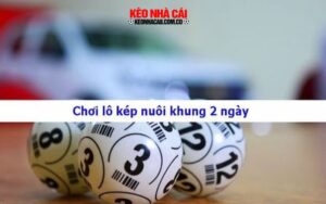 Chọn những con số may mắn trước khi tiến hành nuôi bạch thủ lô